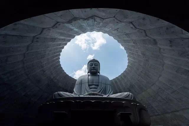 神圣的佛竟淹沒(méi)于薰衣草的花海中，安藤忠雄這次顛覆的不是設計而是信仰